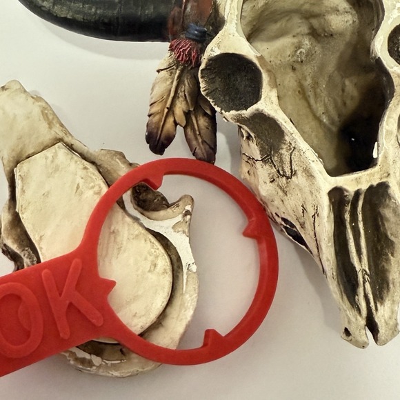 Cow Steer Bull Skull Stash Box Trinket Box Western Indian Decor Figurine * - Picture 7 of 9